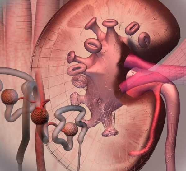 Composite of images of 'Living with renal failure' - visualization of a medical problem